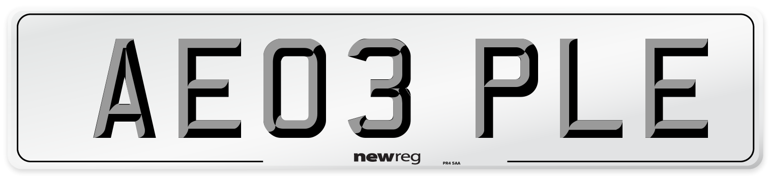 AE03 PLE Number Plate from New Reg